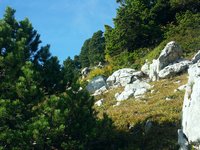 Cliquer pour agrandir l'image (2560x1920 pixels; 14400 KB)