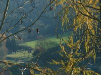 Click to see big picture (1280x960 pixels; 3600 KB)