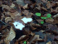 Click to see big picture (1600x1200 pixels; 5625 KB)