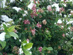 Clic dans l'image pour l'agrandir (2560x1920 pixels; 14400 KB)