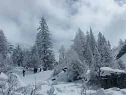 Cliquer pour agrandir l'image (1600x1200 pixels; 5625 KB)