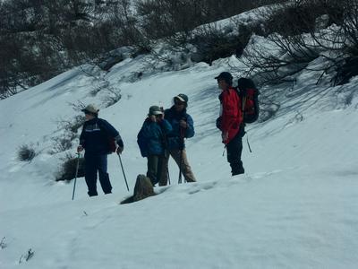 Cliquer pour agrandir l'image (507x380 pixels; 44 KB)