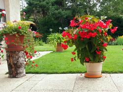 Cliquer pour agrandir l'image (1600x1200 pixels; 5625 KB)