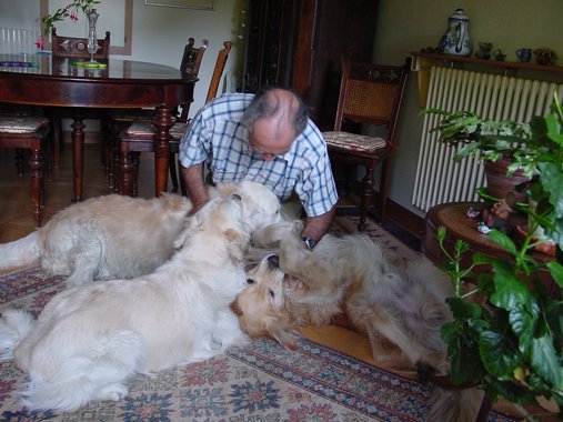 Clic ici pour voir l'image suivante