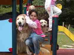 Cliquer pour agrandir l'image (2560x1920 pixels; 14400 KB)