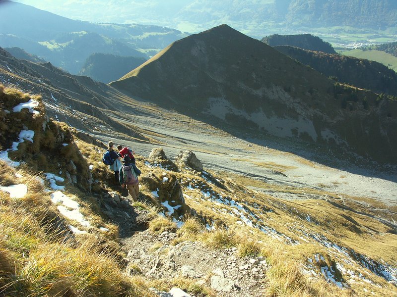 Clic ici pour voir l'image suivante