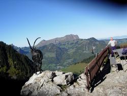 Cliquer pour agrandir l'image (800x600 pixels; 98 KB)