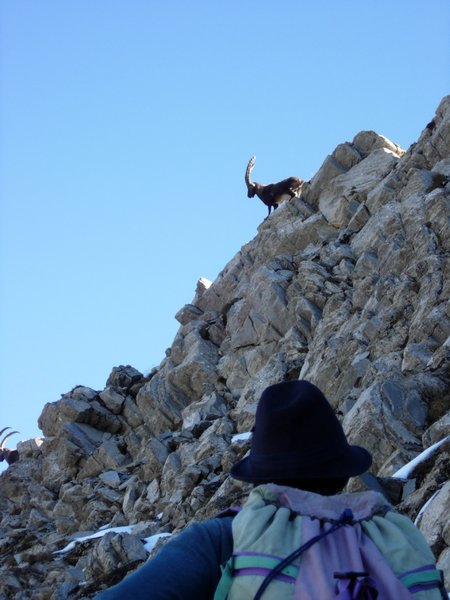 Clic ici pour voir l'image suivante