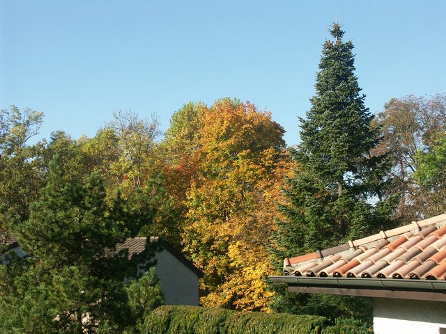 Clic ici pour voir l'image suivante