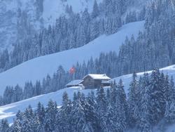 Cliquer pour agrandir l'image (2048x1536 pixels; 9216 KB)