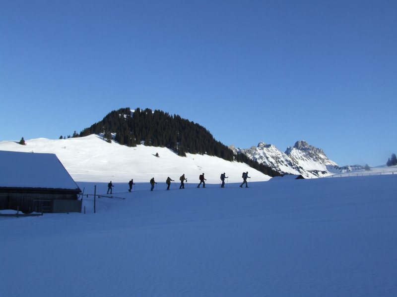 Clic ici pour voir l'image suivante