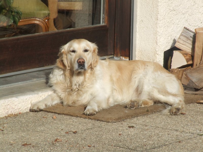 Cliquer pour voir l'image suivante