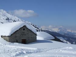 Cliquer pour agrandir l'image (800x600 pixels; 62 KB)