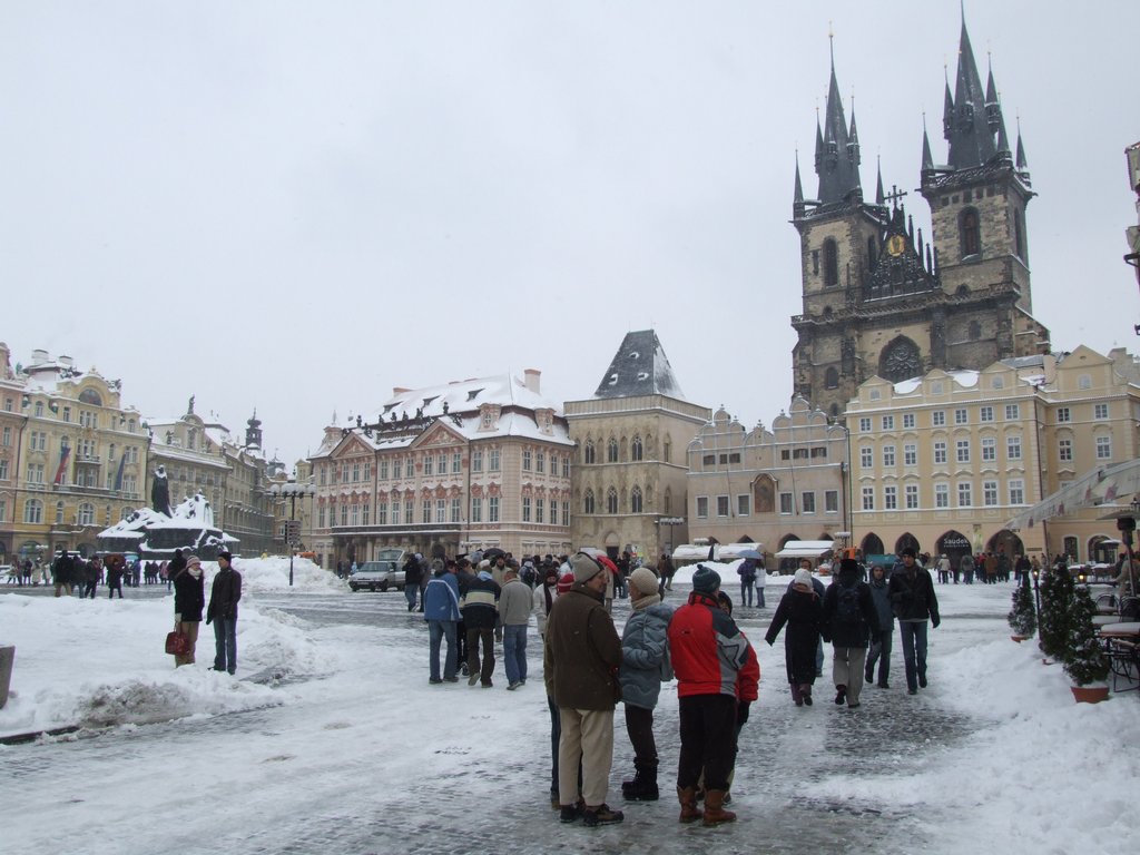 Cliquer pour voir l'image suivante