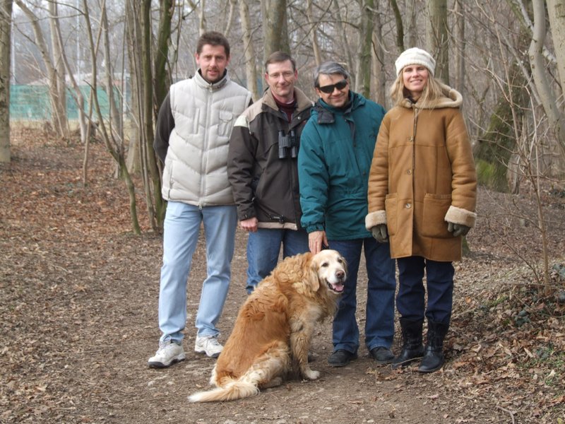 Cliquer pour voir l'image suivante