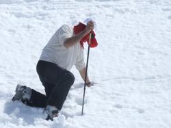 Cliquer pour agrandir l'image (800x600 pixels; 66 KB)