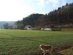 Cliquer pour agrandir l'image (2592x1944 pixels; 14762 KB)