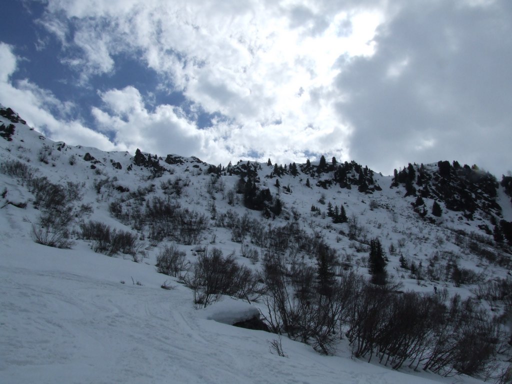 Cliquer pour voir l'image suivante