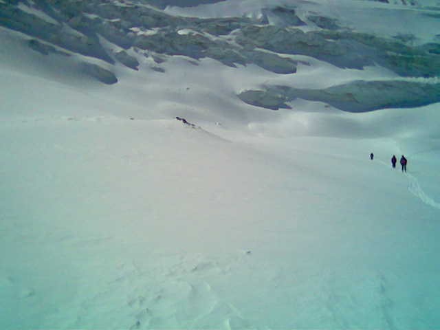 Cliquer pour voir l'image suivante