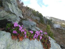 Cliquer pour agrandir l'image (1024x768 pixels; 194 KB)