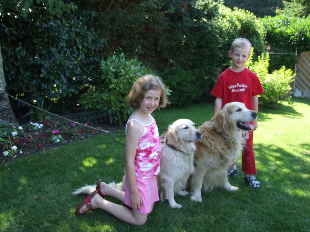 Cliquer pour voir l'image suivante