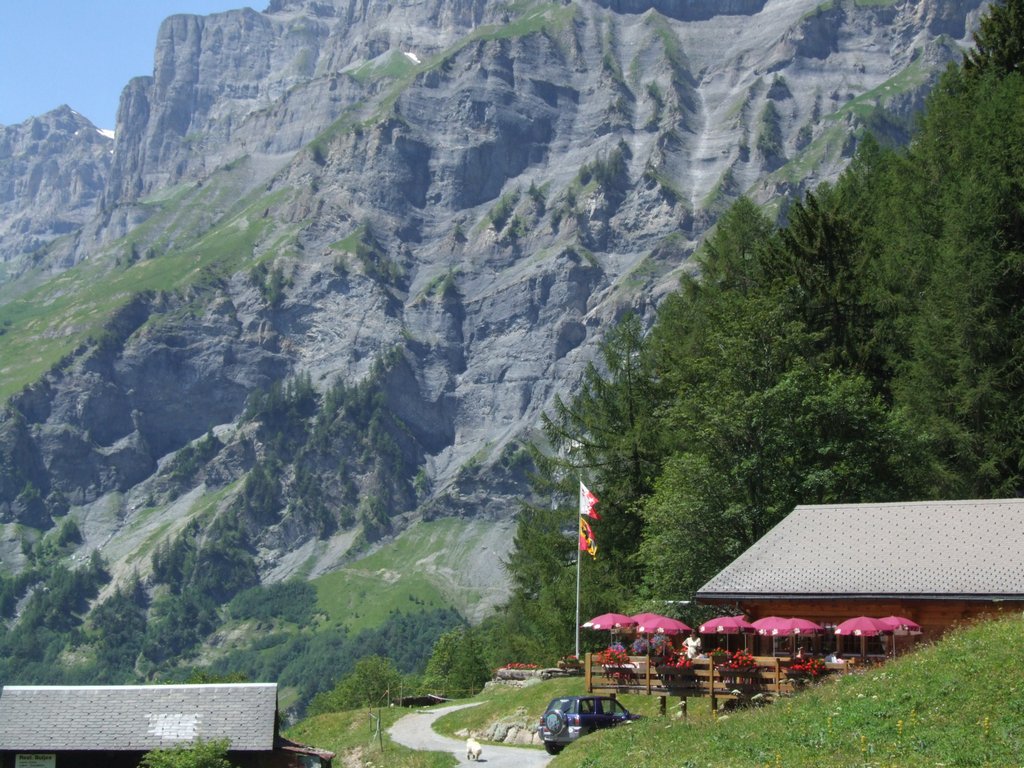 Cliquer pour voir l'image suivante