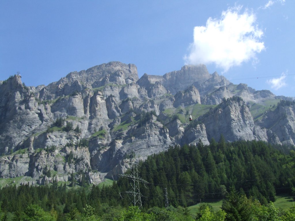 Cliquer pour voir l'image suivante