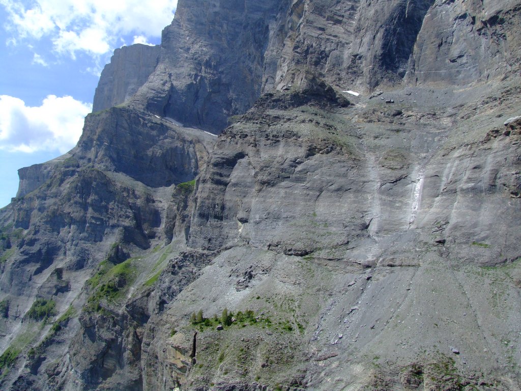 Cliquer pour voir l'image suivante