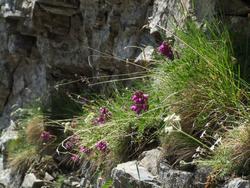 Cliquer pour agrandir l'image (1024x768 pixels; 239 KB)