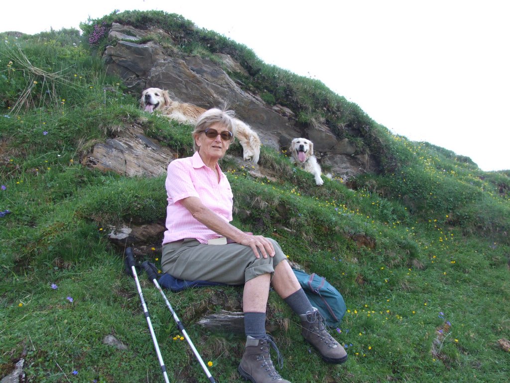 Cliquer pour voir l'image suivante