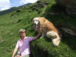 Cliquer pour agrandir l'image (1024x768 pixels; 220 KB)