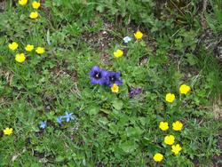 Cliquer pour agrandir l'image (1024x768 pixels; 276 KB)