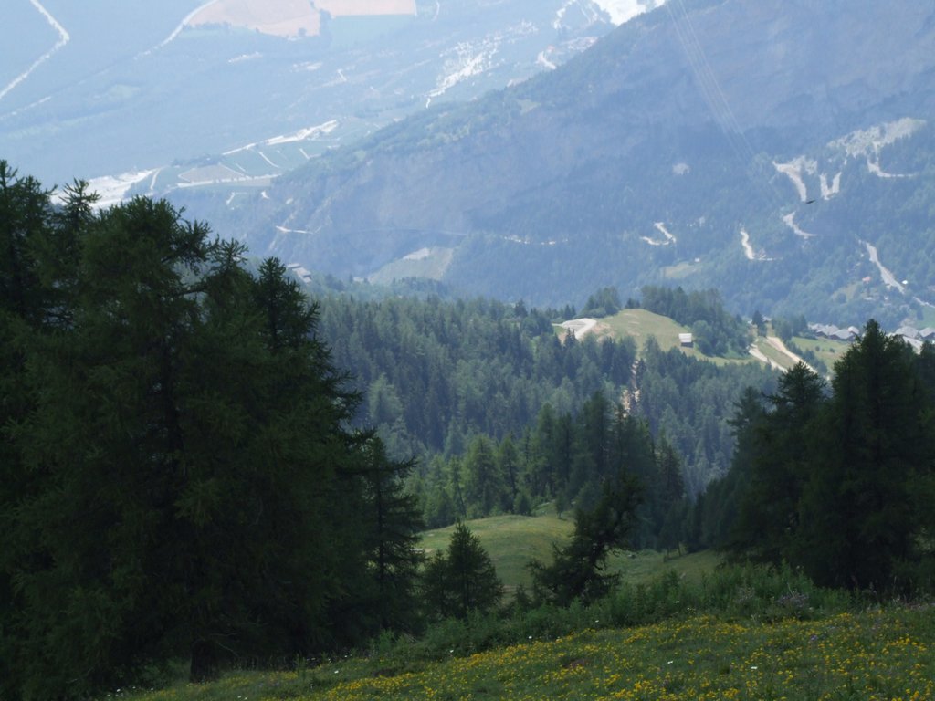 Cliquer pour voir l'image suivante