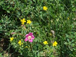 Cliquer pour agrandir l'image (1024x768 pixels; 219 KB)