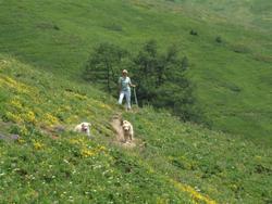 Cliquer pour agrandir l'image (1024x768 pixels; 167 KB)