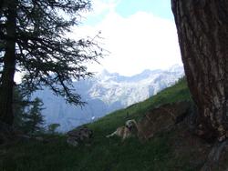 Cliquer pour agrandir l'image (1024x768 pixels; 165 KB)