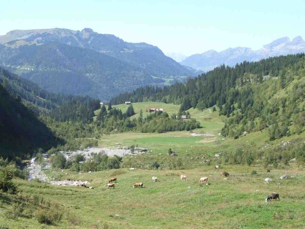 Cliquer pour voir l'image suivante