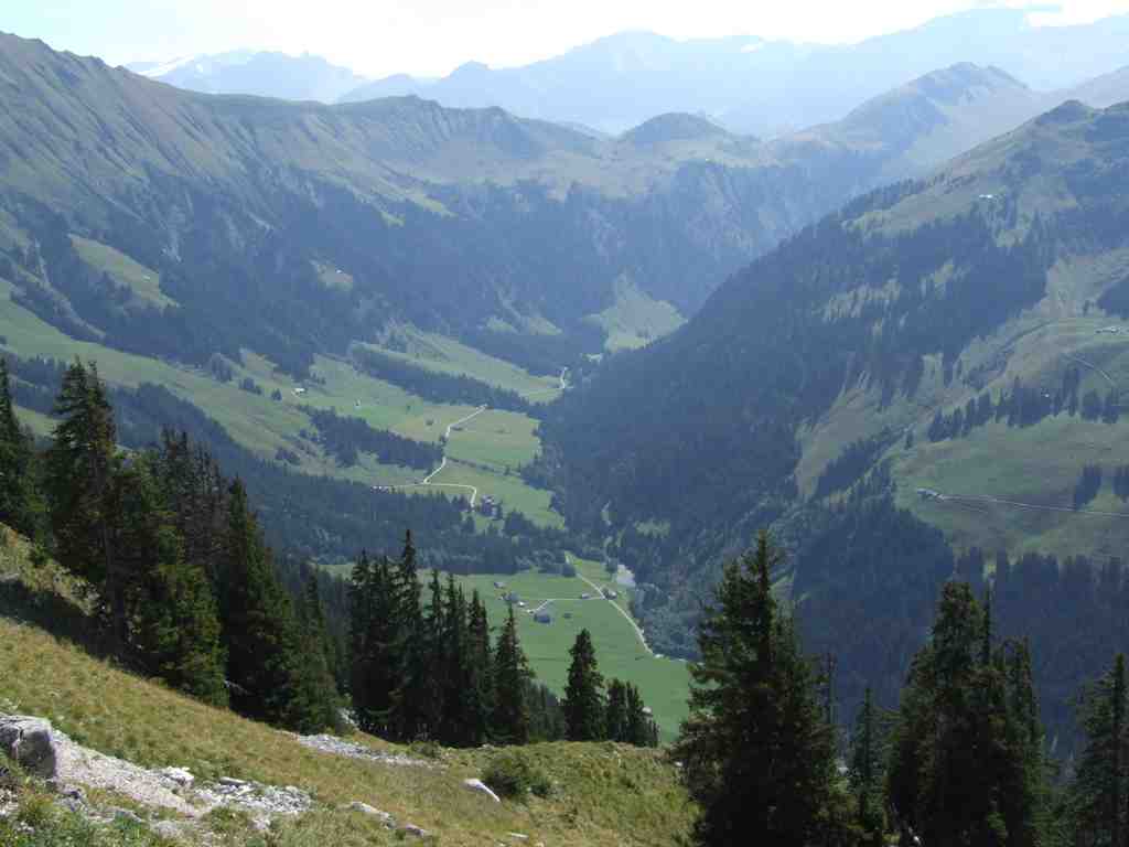 Cliquer pour voir l'image suivante