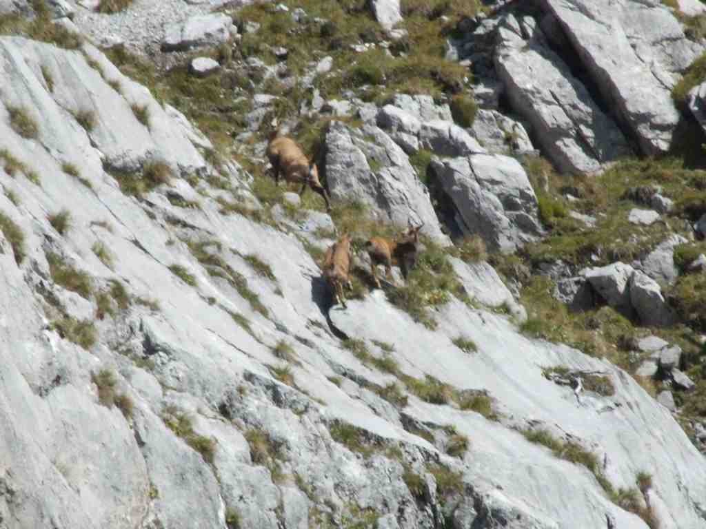 Cliquer pour voir l'image suivante