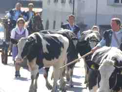 Cliquer pour agrandir l'image (2592x1944 pixels; 14762 KB)