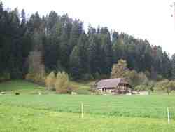 Cliquer pour agrandir l'image (2592x1944 pixels; 14762 KB)