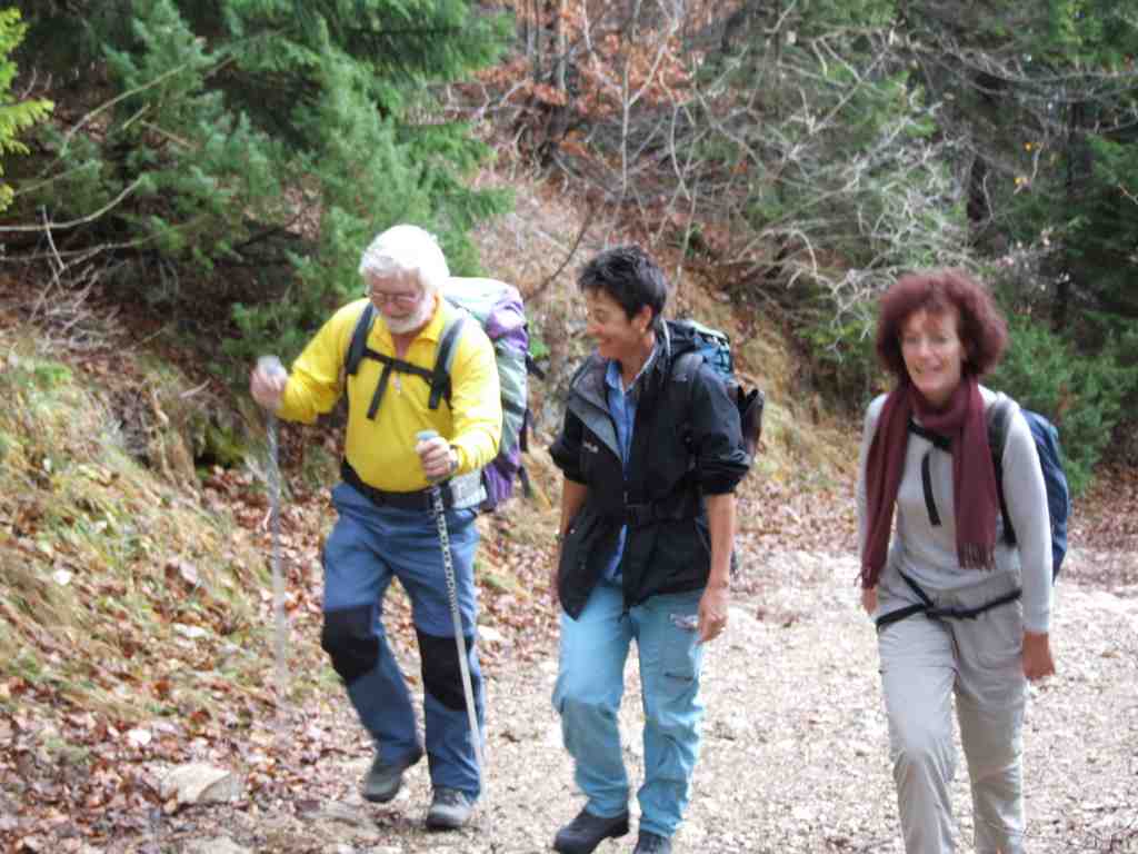 Cliquer pour voir l'image suivante