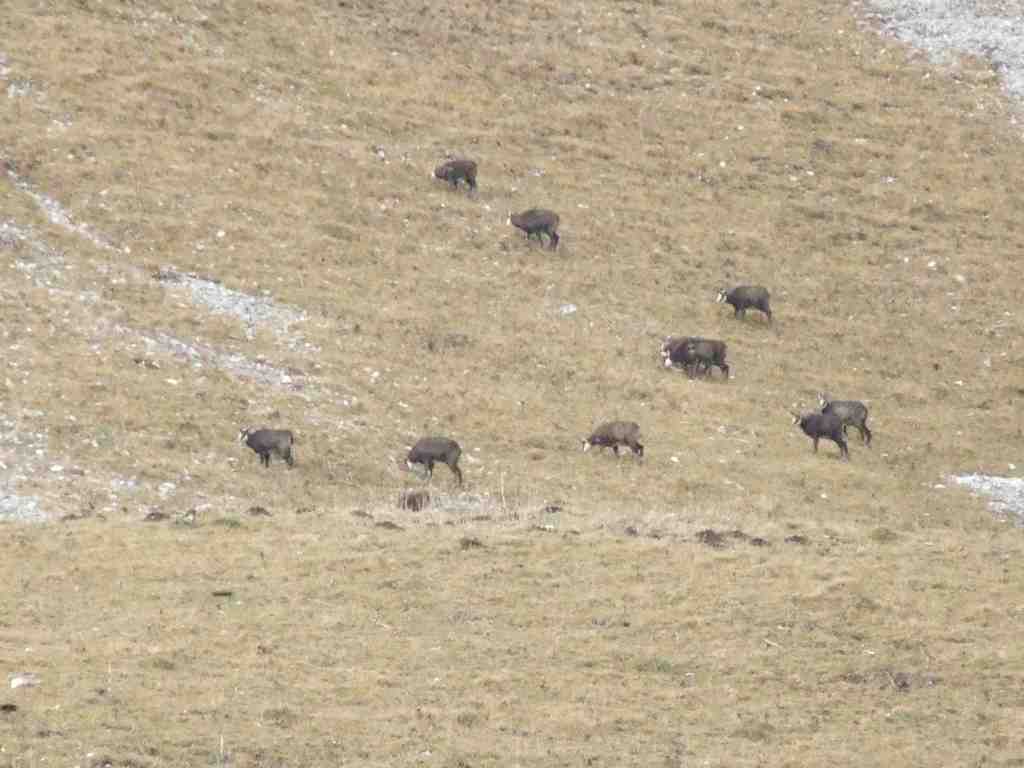 Cliquer pour voir l'image suivante