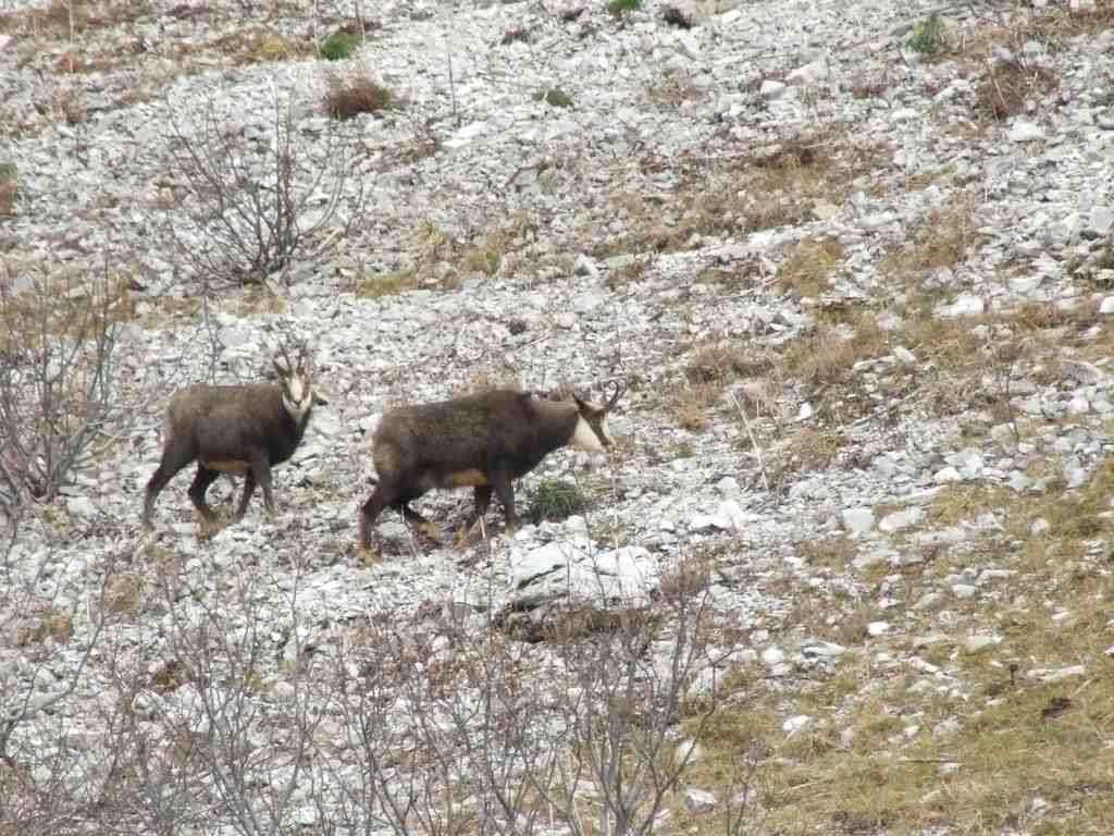 Cliquer pour voir l'image suivante