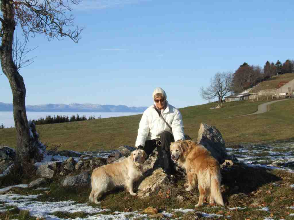 Cliquer pour voir l'image suivante