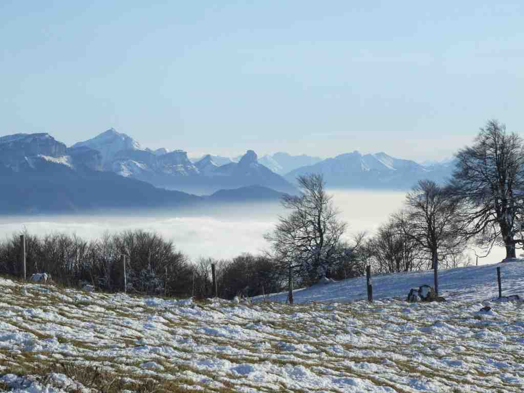 Cliquer pour voir l'image suivante