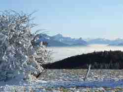 Cliquer pour agrandir l'image (1024x768 pixels; 56 KB)