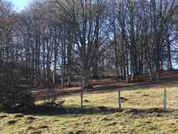 Cliquer pour agrandir l'image (1024x768 pixels; 99 KB)