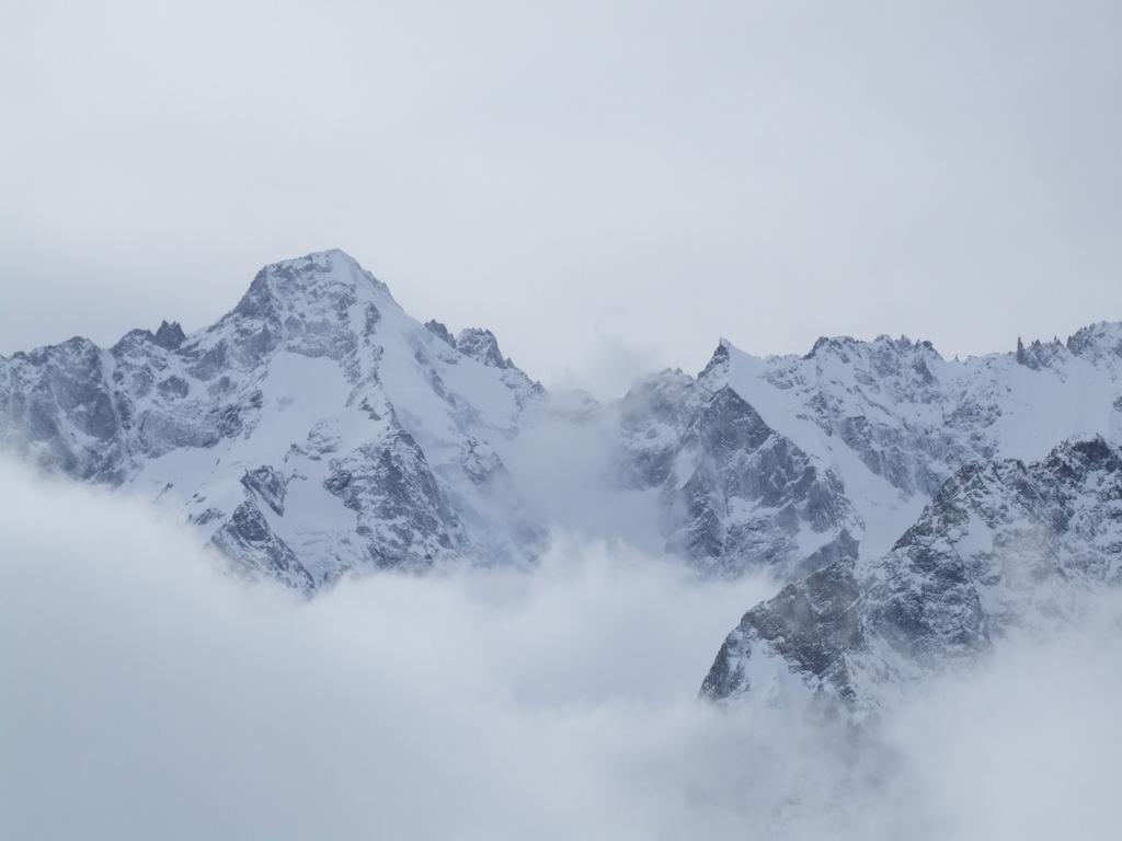 Cliquer pour voir l'image suivante