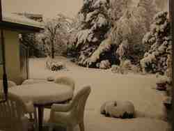 Cliquer pour agrandir l'image (2592x1944 pixels; 14762 KB)